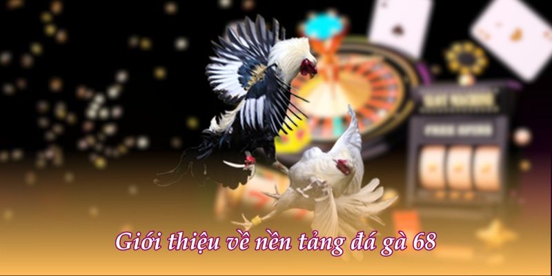 Giới thiệu về nền tảng đá gà 68