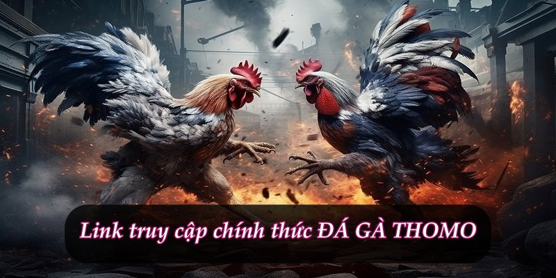 Link truy cập chính thức ĐÁ GÀ THOMO